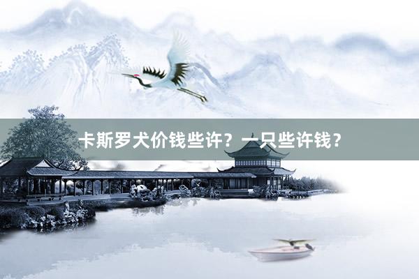 卡斯罗犬价钱些许？一只些许钱？