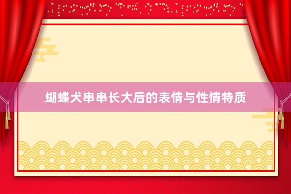 蝴蝶犬串串长大后的表情与性情特质